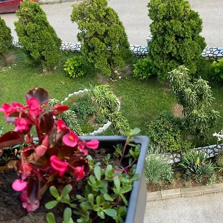 Apartman Lala * Visoko