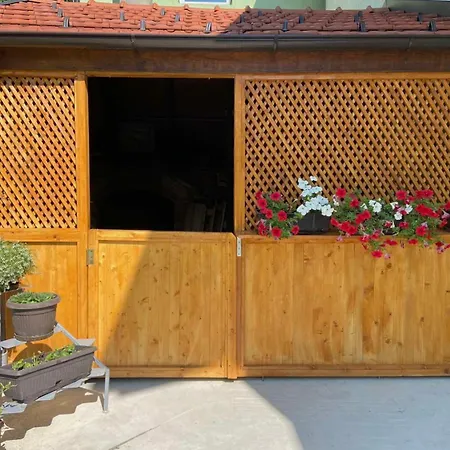 Lejlighed Apartman Lala *